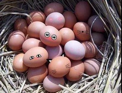 企叮咚科技平臺超市營銷0元送雞蛋案例.jpg 企叮咚科技平臺超市營銷0元送雞蛋案例.jpg